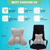 Spinetec Butterfly Support Cushion