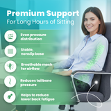Spinetec Lumbar Support Cushion