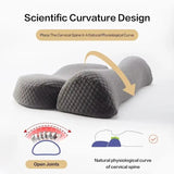 Spinetec ReliefCurve Pillow