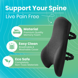 Lumina Support Cushion