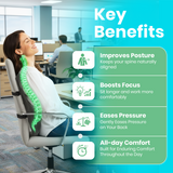 Spinetec Lumina Support Cushion