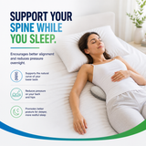 DreamSpine Back Pillow