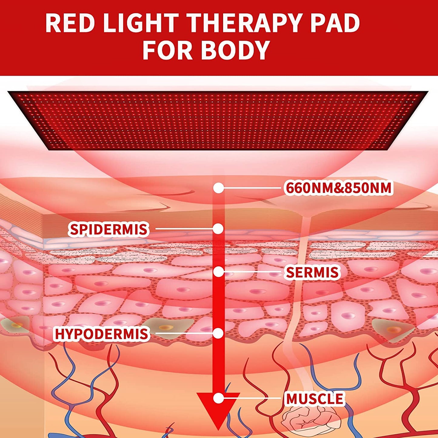 Infrared Therapy Heat Pad for Full Body Pain Relief and Skin Rejuvenation.