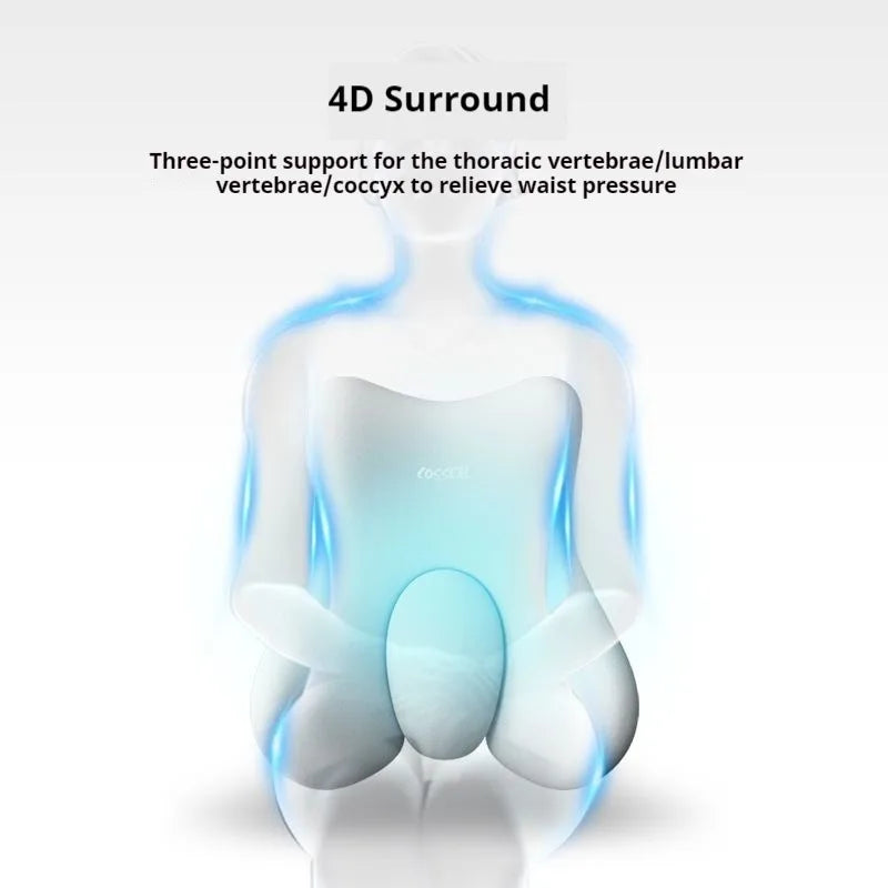 Lumbar Back Cushion