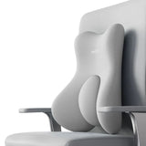 Spinetec PostureForm Back Cushion