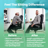 Spinetec Lumbar Support Cushion
