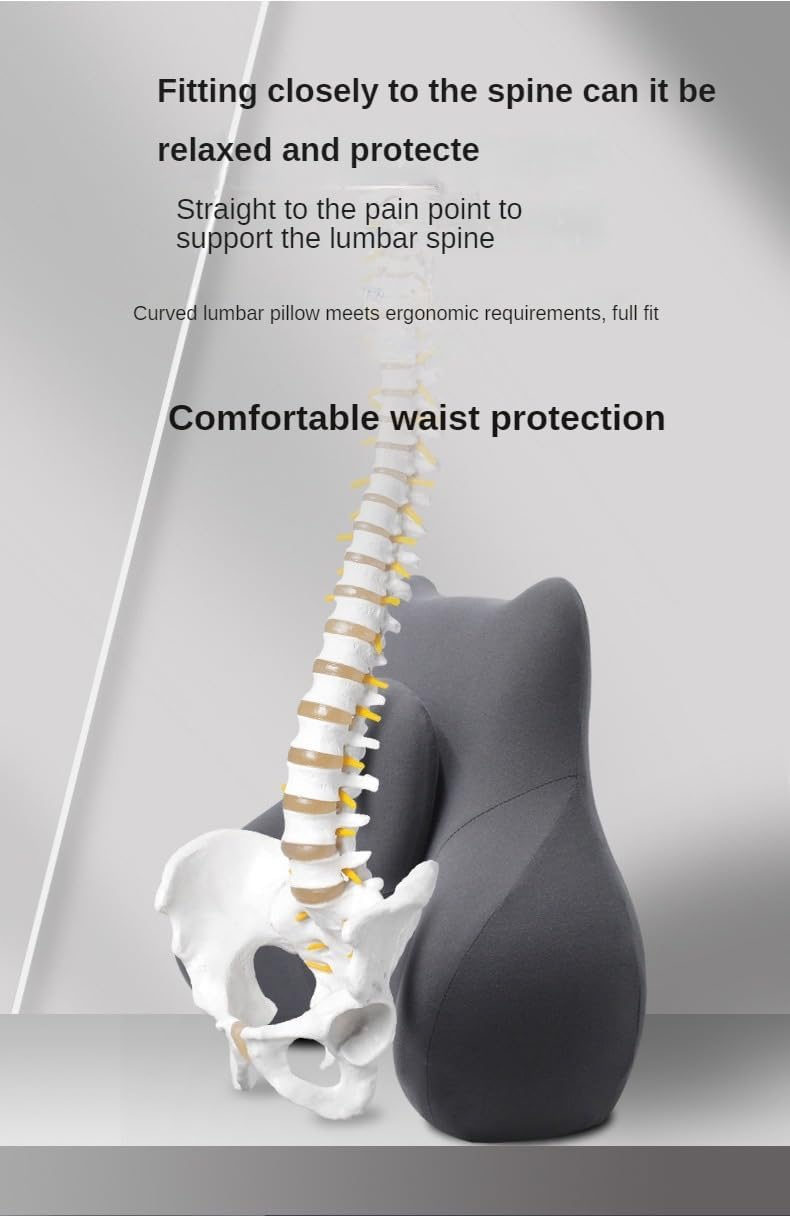 Spinetec ContourPro Lumbar Cushion